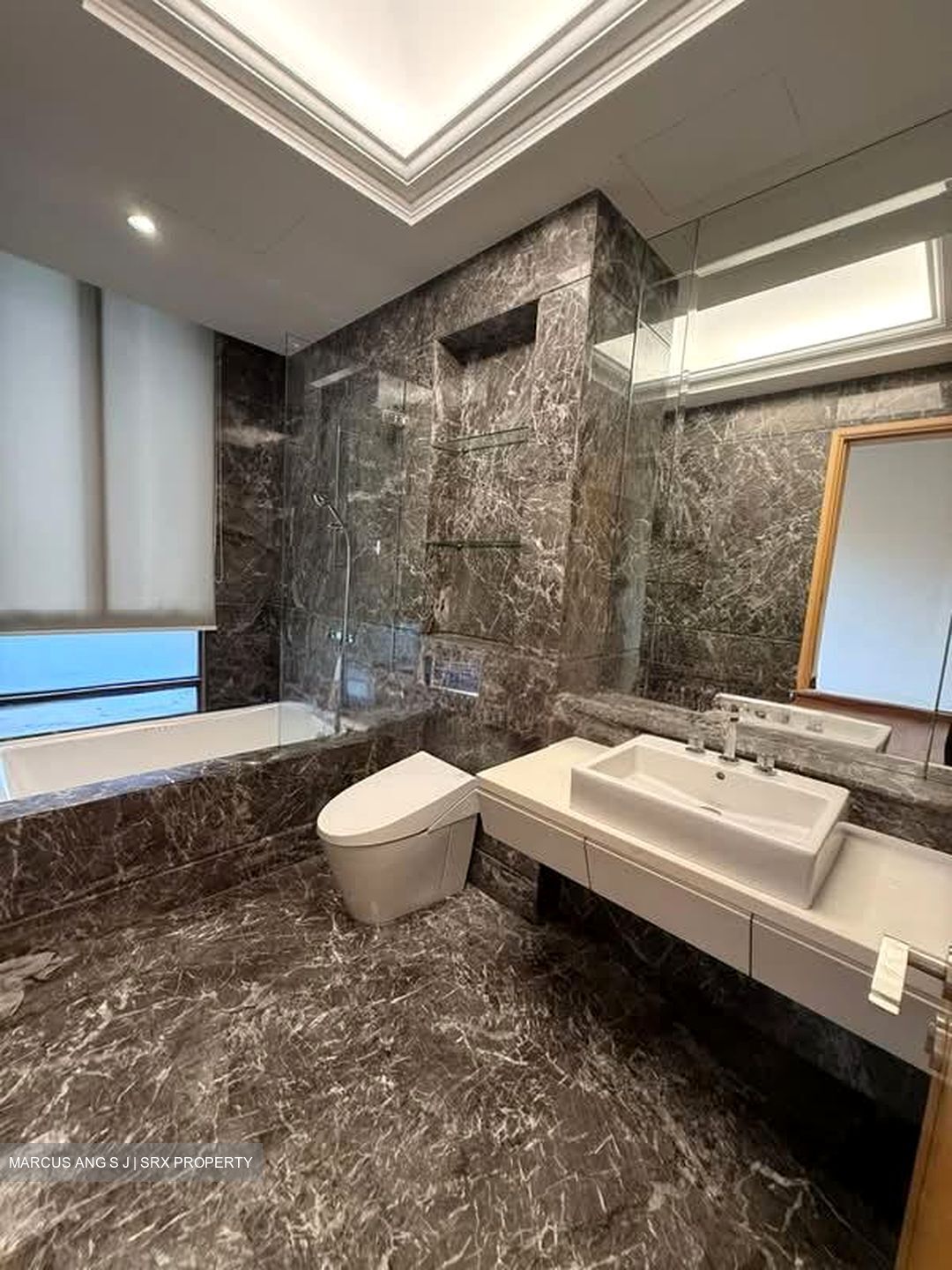 Parkview Eclat (D10), Condominium #554411941